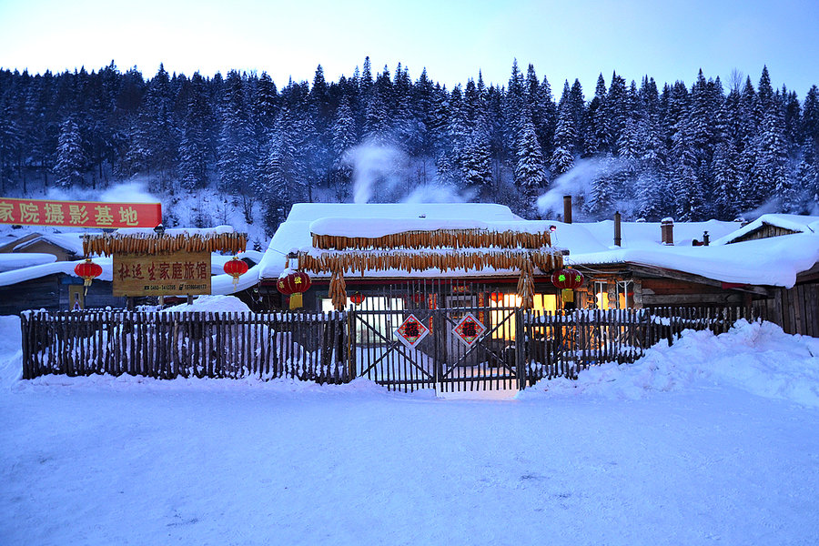 2016第7周:《美人鱼